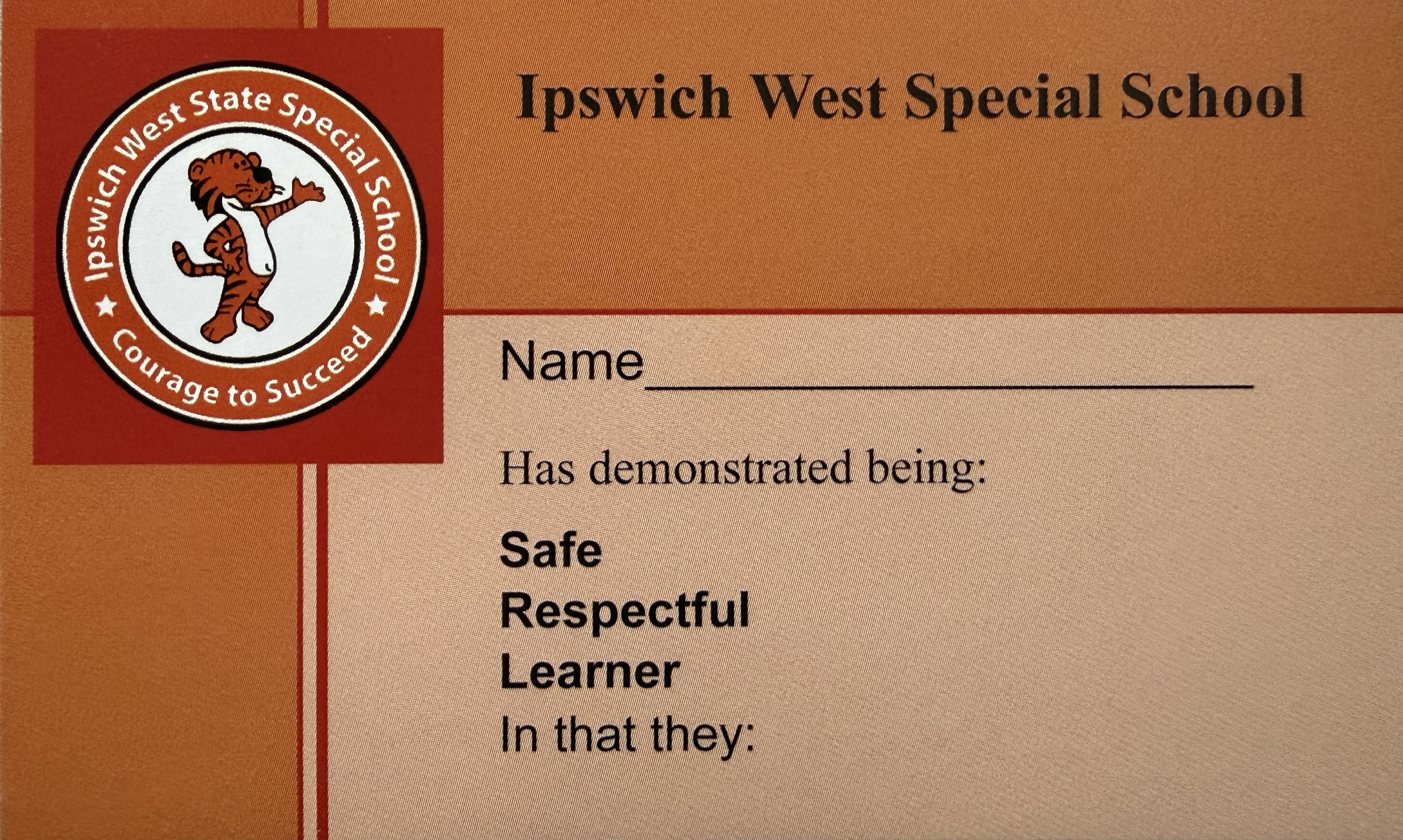 orange gotcha.jpg